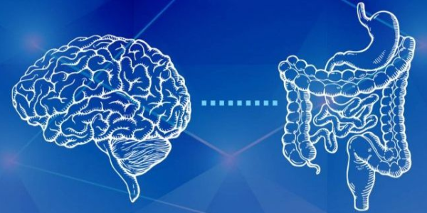 5 Claves de Mariangel Arruebarrera Loreto para Cuidar tu Segundo Cerebro