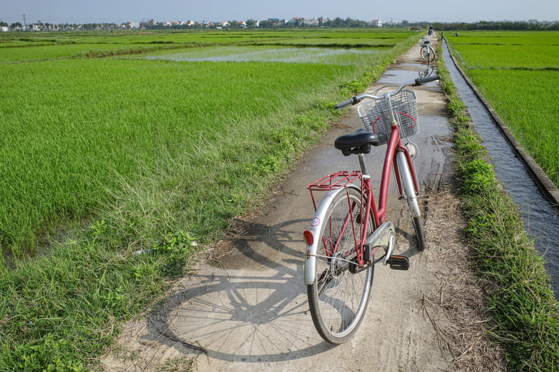 Tour en bici por los arrozales de Hoi An