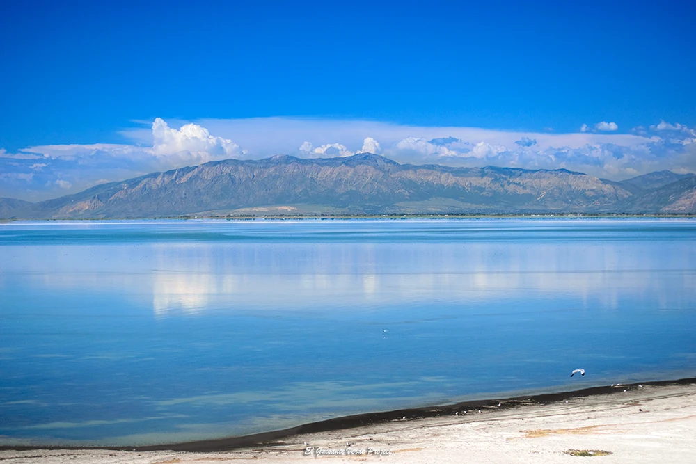 Isla Antílope y Great Salt Lake - Utah, por El Guisante Verde Project