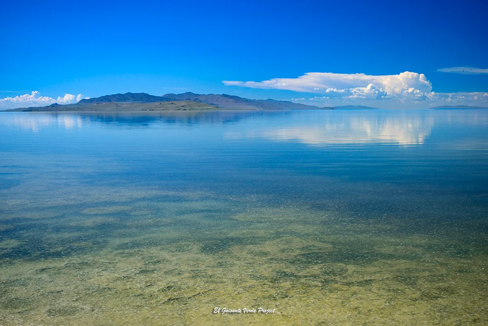Isla Antílope y Gran Lago Salado - Utah, por El Guisante Verde Project