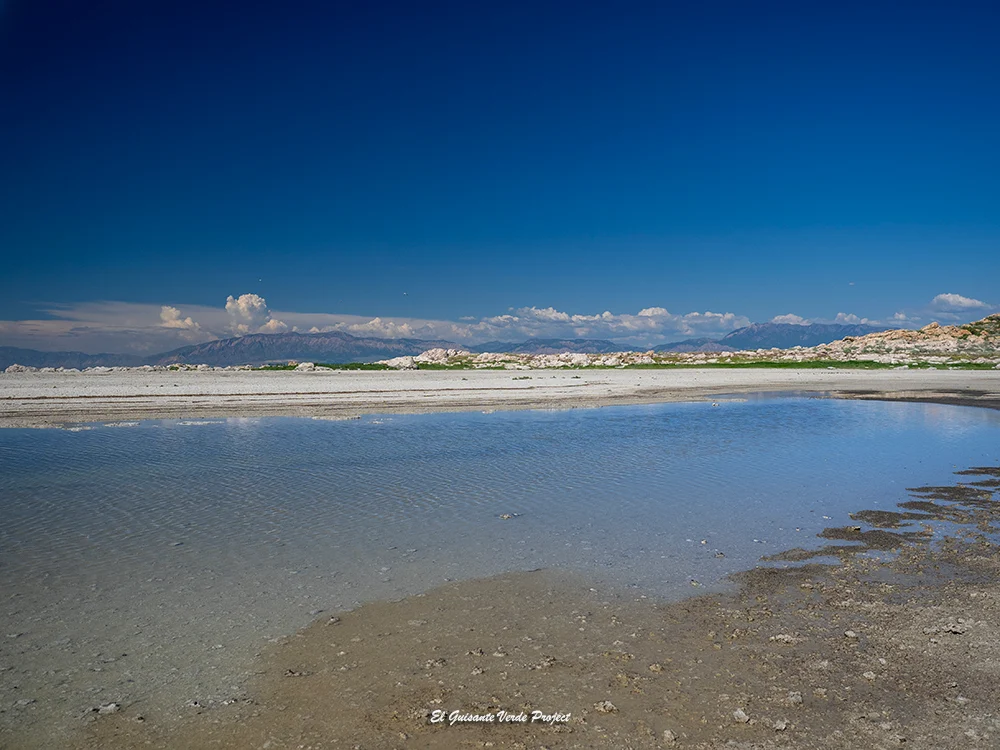 Isla Antílope, playa y salinas - Utah, por El Guisante Verde Project