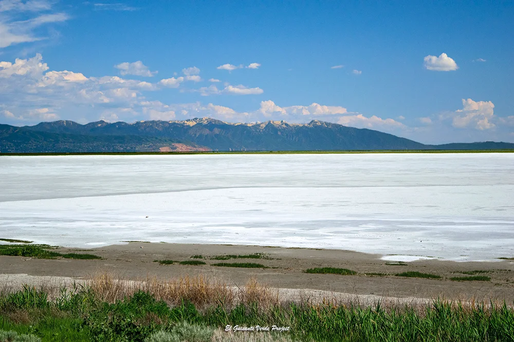 Isla Antílope y salinas del Gran Lago Salado - Utah, por El Guisante Verde Project
