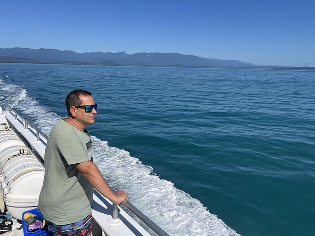 Sele en el mar