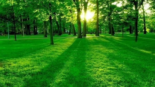 naturaleza paisaje