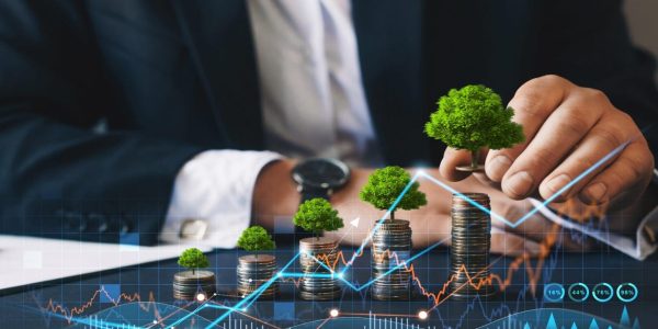 Hjalmar Jesús Gibelli Gómez | El Futuro de los Seguros Verdes