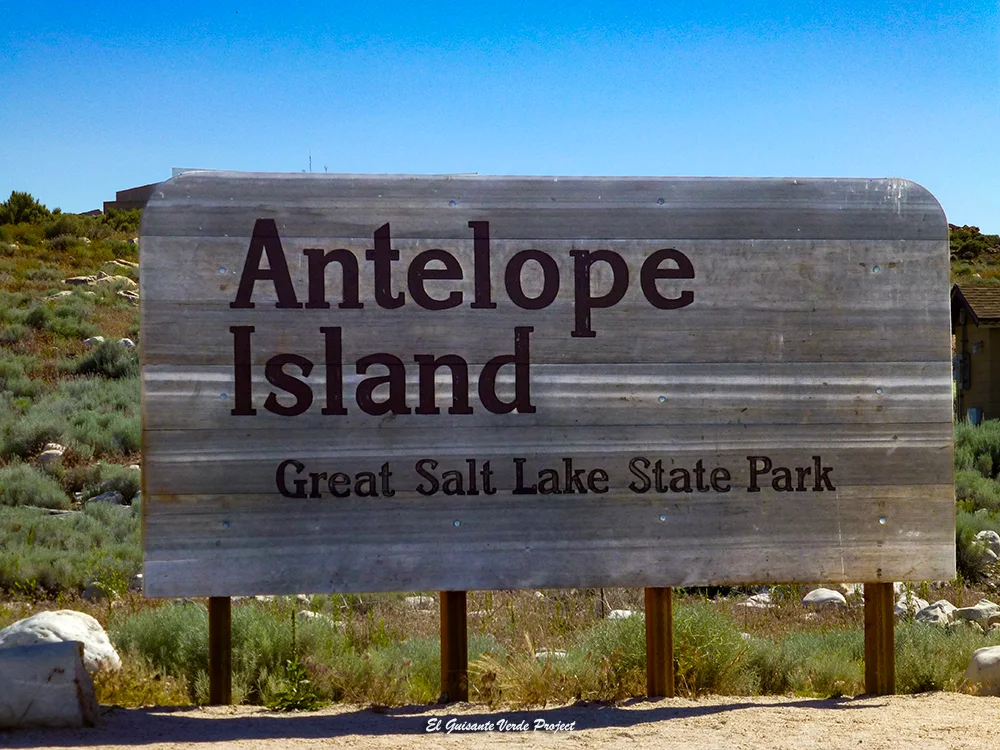Isla Antílope - Antelope Island, cartel - Utah, por El Guisante Verde Project