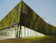 PILPERMIX - Concreto bioreceptivo; El futuro de las fachadas vivas - FOTO
