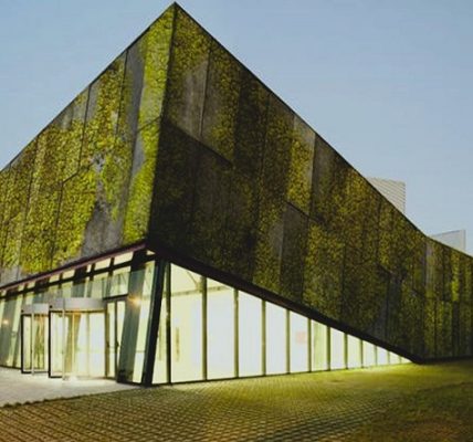 PILPERMIX - Concreto bioreceptivo; El futuro de las fachadas vivas - FOTO