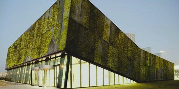 PILPERMIX - Concreto bioreceptivo; El futuro de las fachadas vivas - FOTO