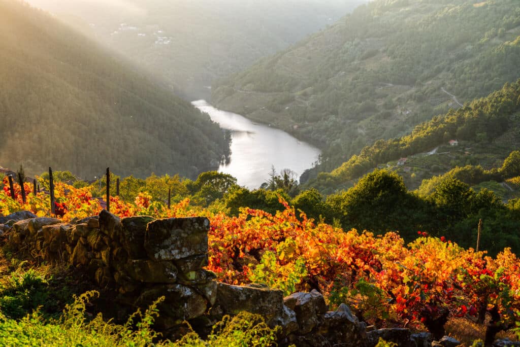 Atardecer en la Ribeira Sacra (Lugo/Ourense).