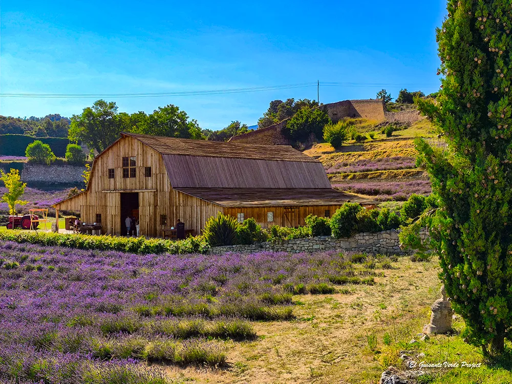 El Granero de San Francisco - Santa Gadea del Cid, por El Guisante Verde Project