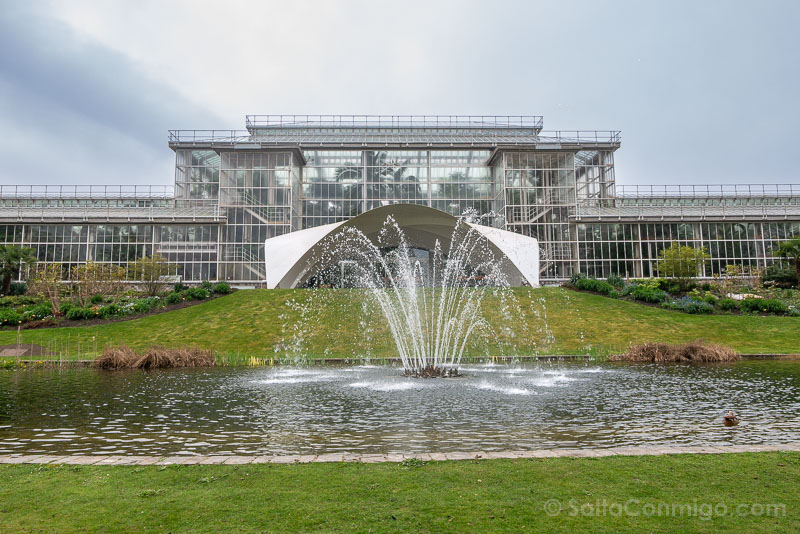 Que Ver Cerca de Bruselas Jardin Botanico Meise Palacio Plantas