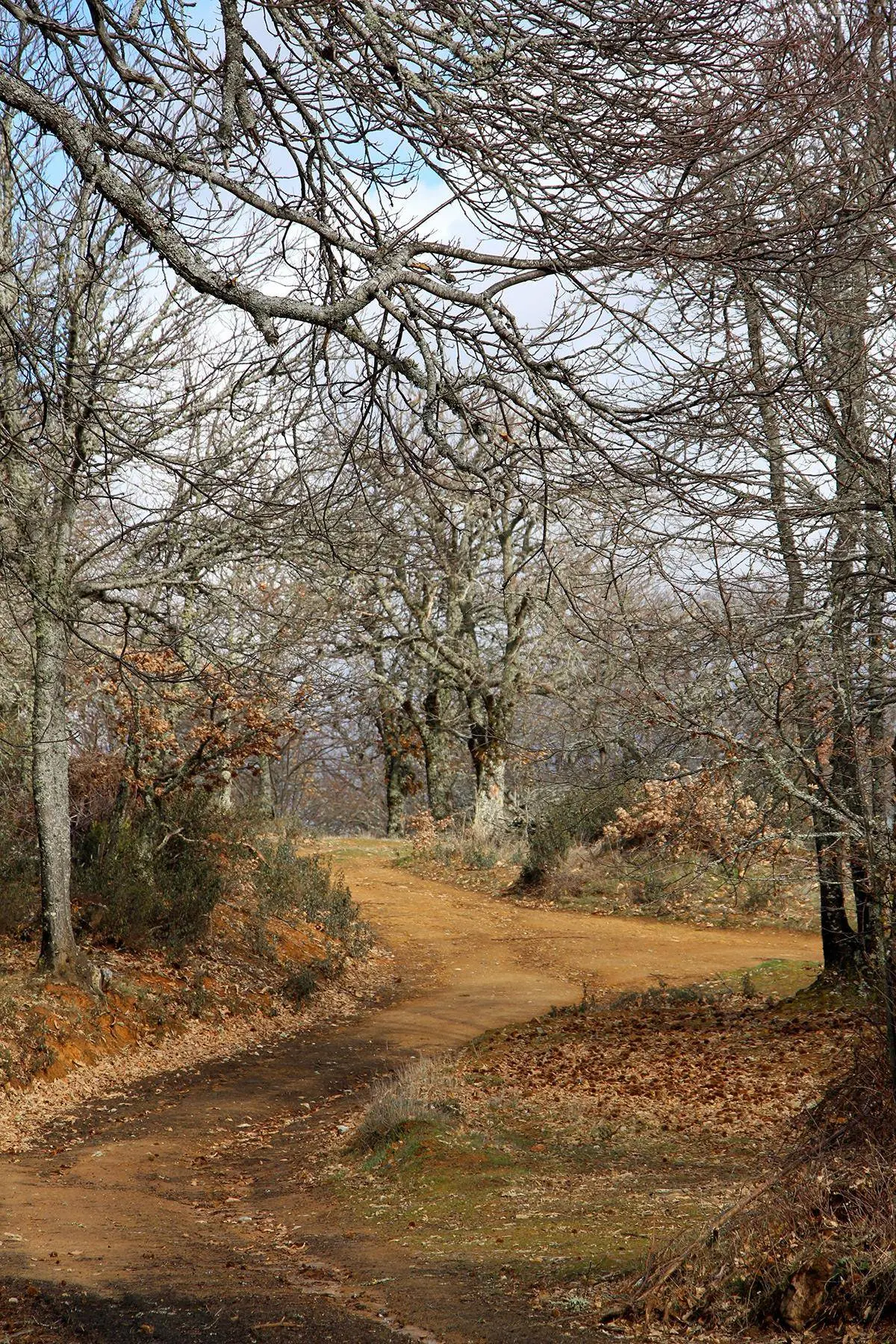 Sendero en el Parque Natural de Montesinho