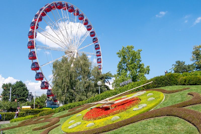 Que Ver En Ginebra Reloj Floral