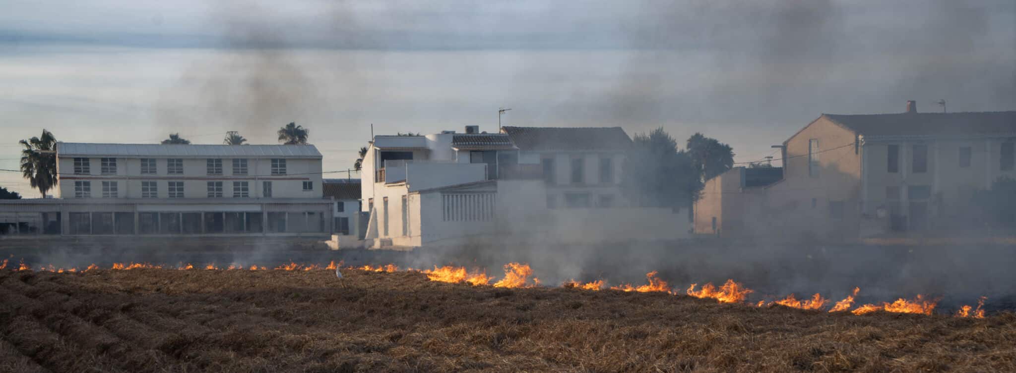 Quemando la paja en el cultivo de la chufa en Alboraia. Por Molinero de Gúdar