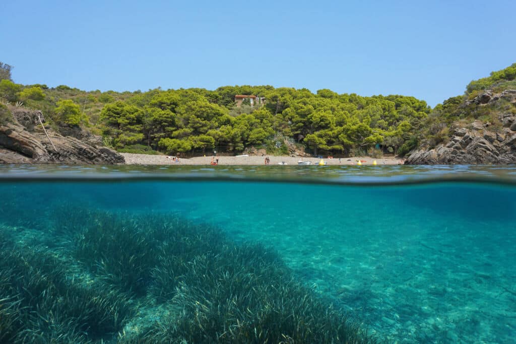 Cala Guillola en el Cap de Creus. Por dam.