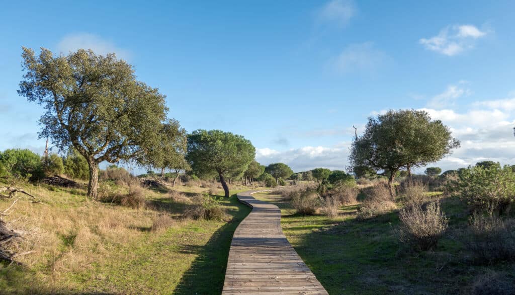 Ruta desde el centro de visitantes de Doñana. Por Roel.