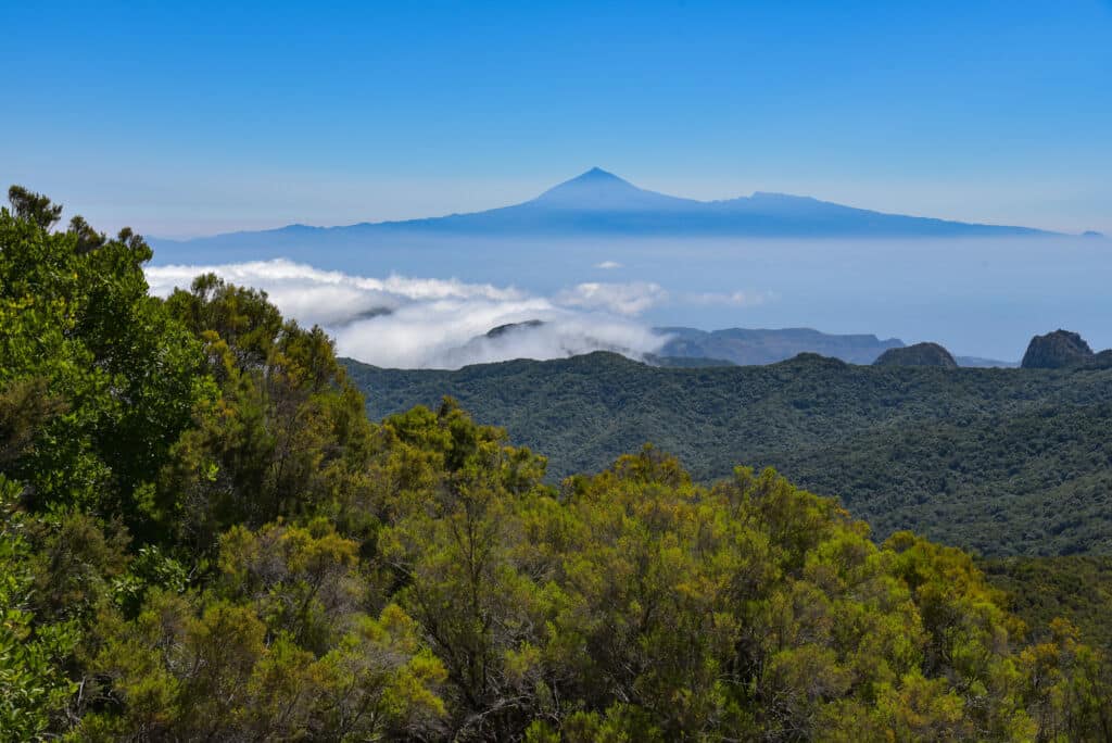 Paisaje del Parque Nacional Garajonay en La Gomera. Por Henry Czauderna.