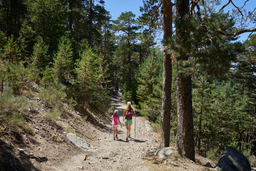 Guadarrama en familia. Por Q.