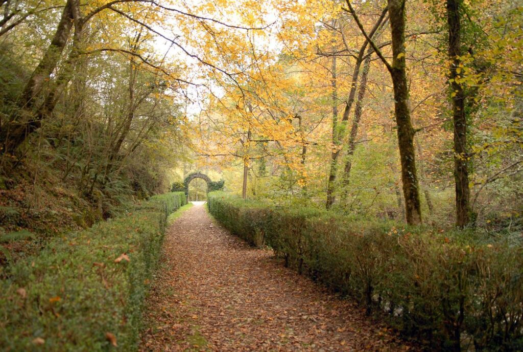 Bosque de San Juan Xar (Navarra). Por Baztan Bidasoa Turismoa