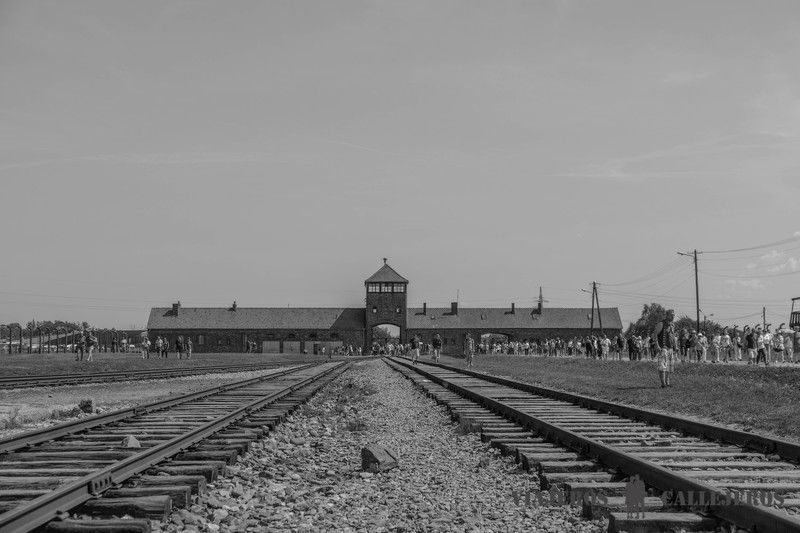 Auschwitz-Birkenau uno de los lugares que visitar en Polonia