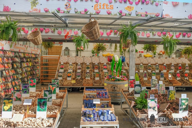 Mercado de las flores en el recorrido por Ámsterdam en 1 día