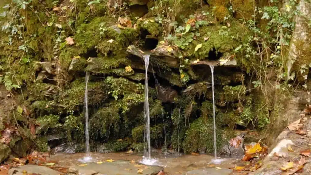 Fuente en San Juan Xar (Navarra). Por Baztan Bidasoa Turismoa