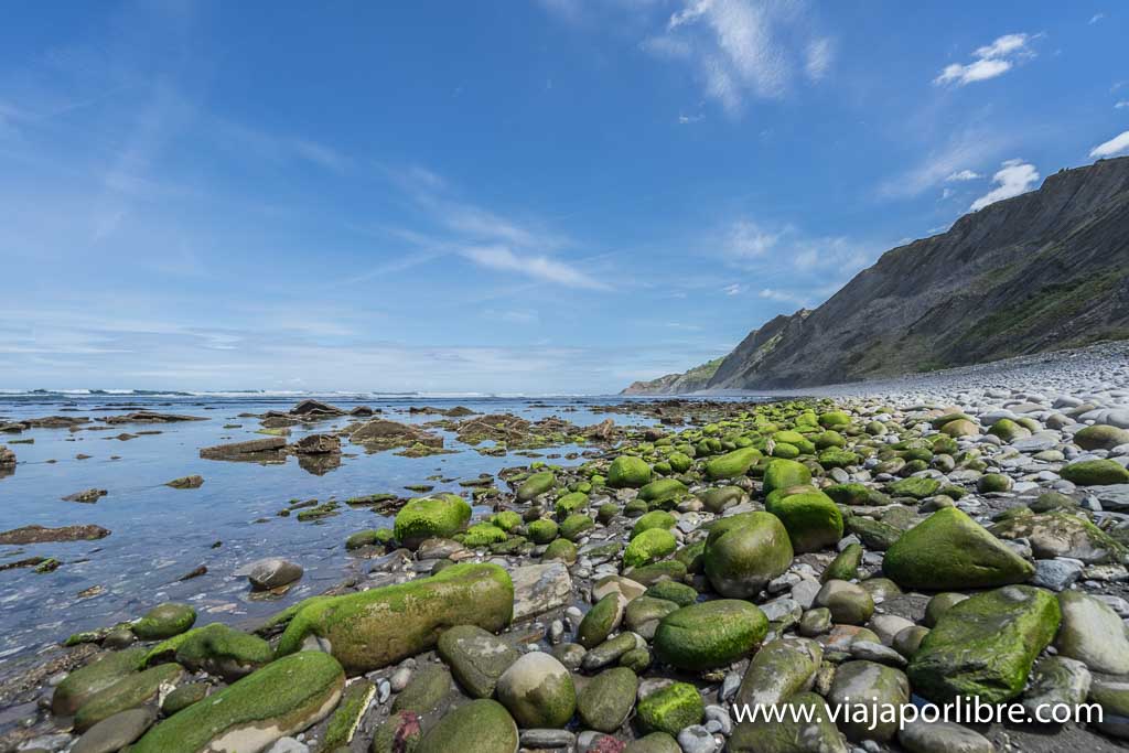 Senderismo - La ruta del Flysch a pie (Senderismo desde Zumaia a Deba) Ruta de Flysch