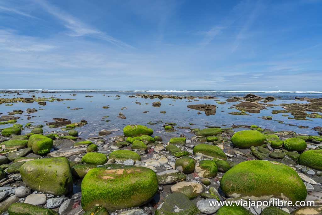 Senderismo - La ruta del Flysch a pie (Senderismo desde Zumaia a Deba) Ruta de Flysch