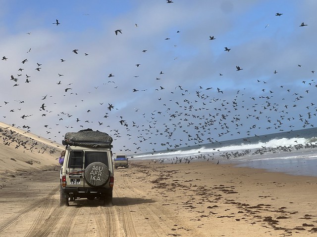 La no carretera de Baía dos Tigres es una de las travesías más brutales de todo Angola