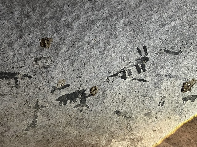 Pinturas rupestres en un abrigo rocos de Caraculo (Angola)