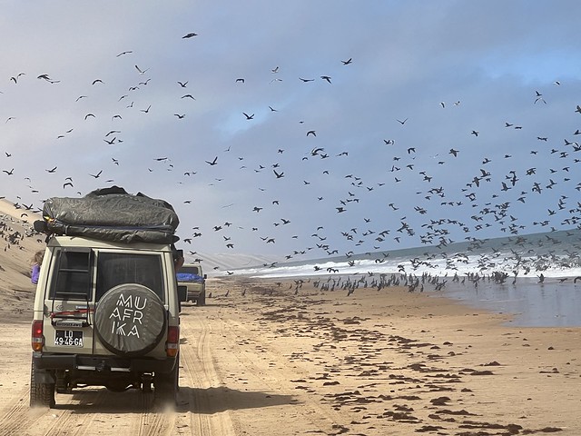 Nuestros 4x4 en Baía dos Tigres (Angola)