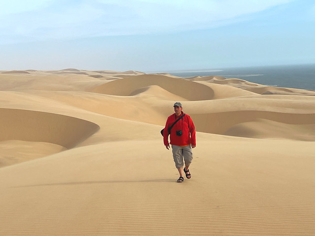 Sele en las dunas en Baía dos Tigres (Angola)