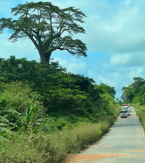 Carretera de Luanda a la provincia de Malanje (Angola)