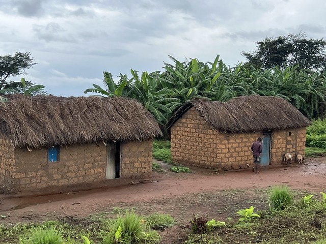 Casas de adobe de un poblado Ambundu camino a las cascadas de Kalandula en Angola