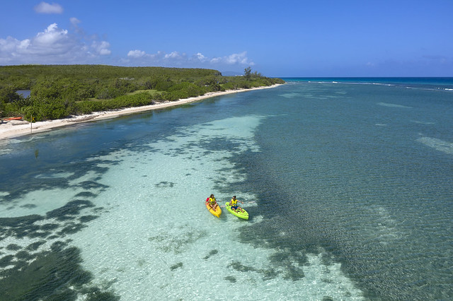 Kayaks en Jamaica