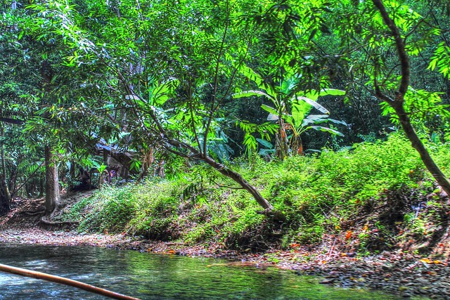 Río Martha Brae en Jamaica