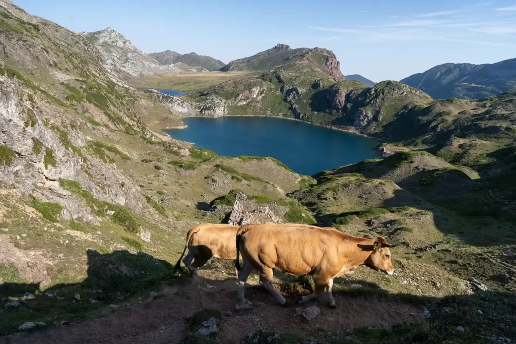 Lago del Valle