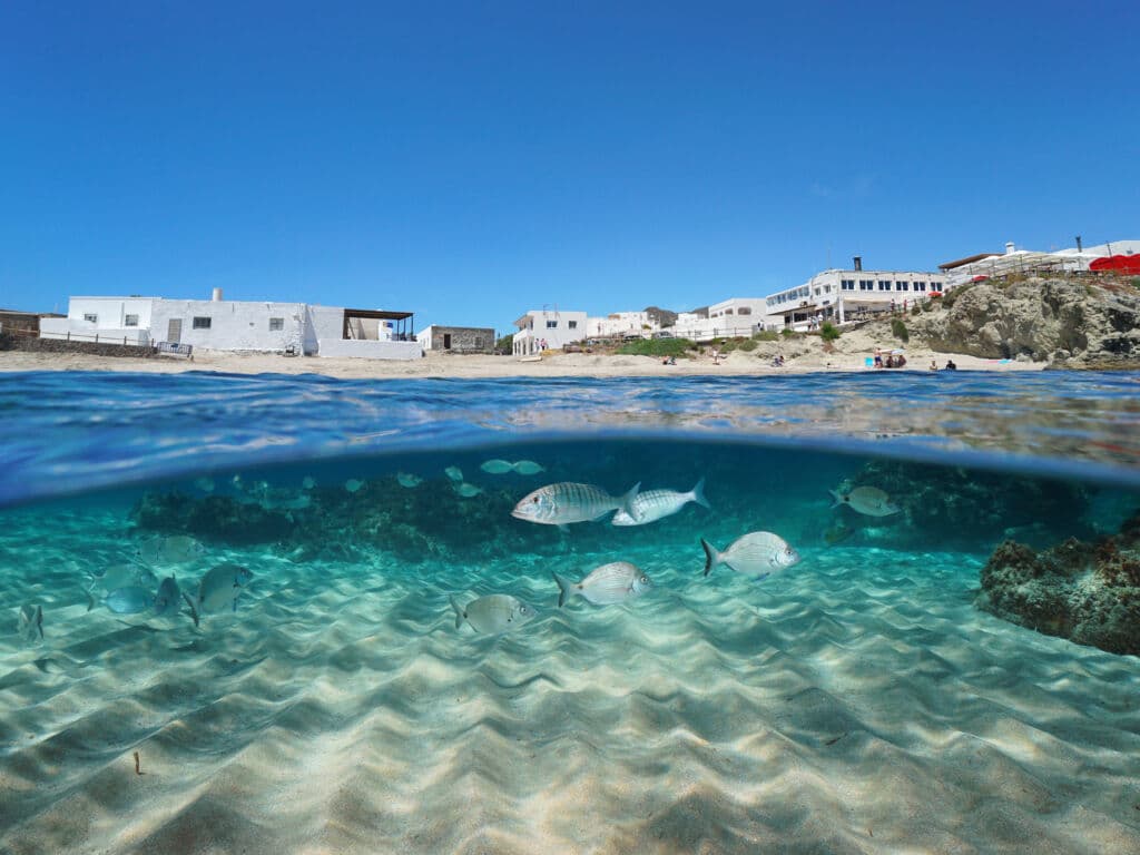 Snorkel en Cabo de Gata, Almería. Por dam