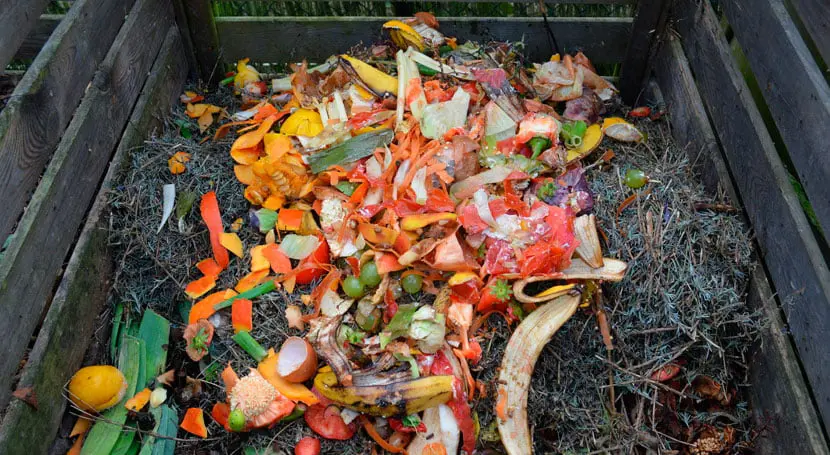 Cómo hacer compost casero, guía completa 2