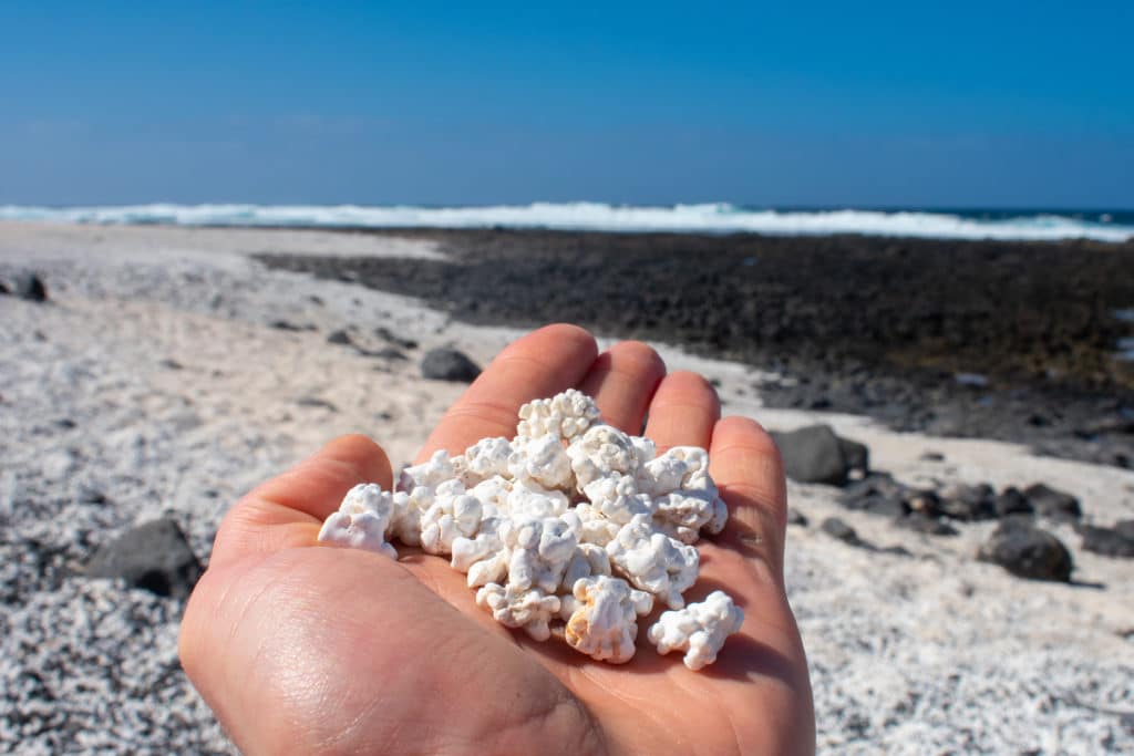 Playa de las Palomitas en Fuerteventura. Por Maciej