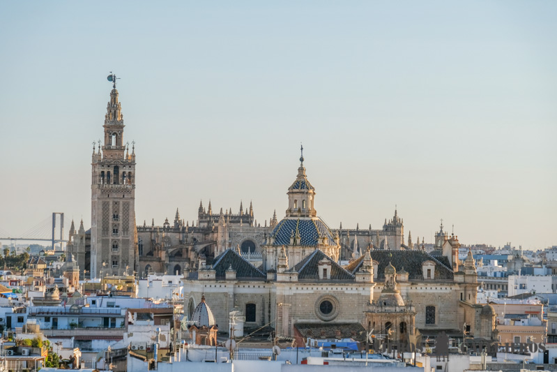 Vistas durante la ruta de Sevilla en 3 días