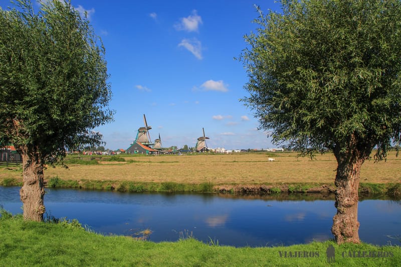 Zaanse Schans en 4 días en Ámsterdam