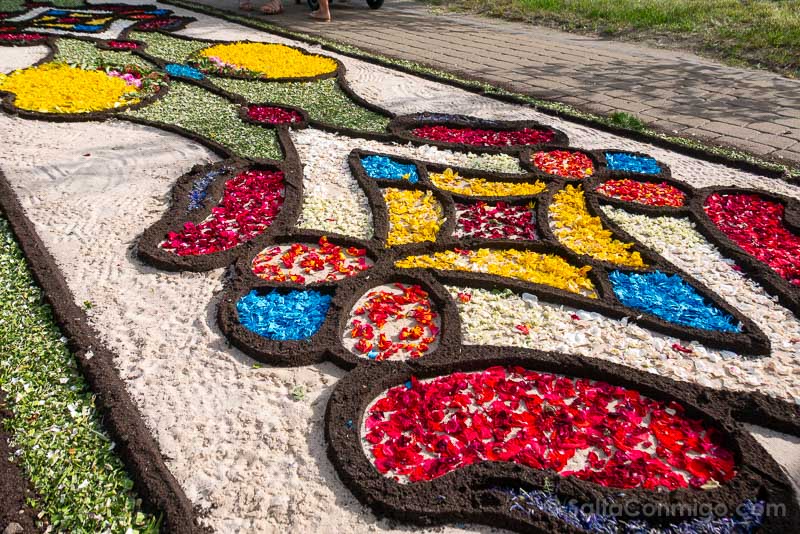Corpus Christie en Polonia Spycimierz Detalle Alfombra
