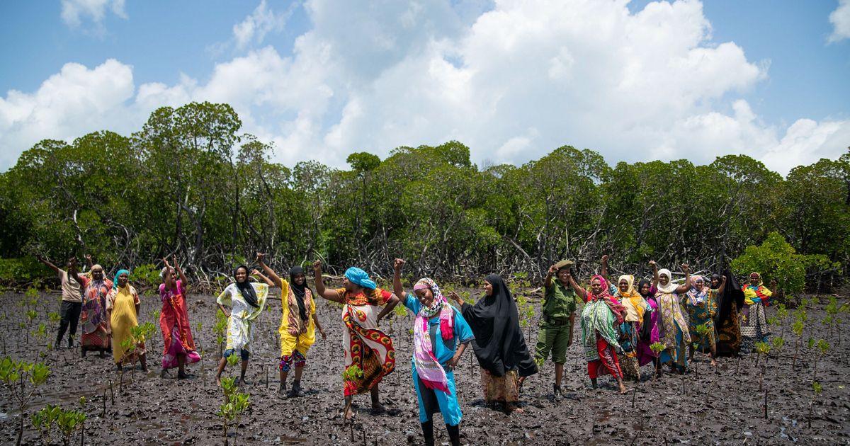 Restauración ambiental en Kenia