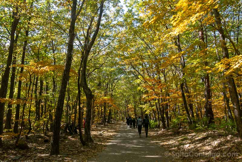 Que Ver en Seoraksan Corea Colores Otono Camino