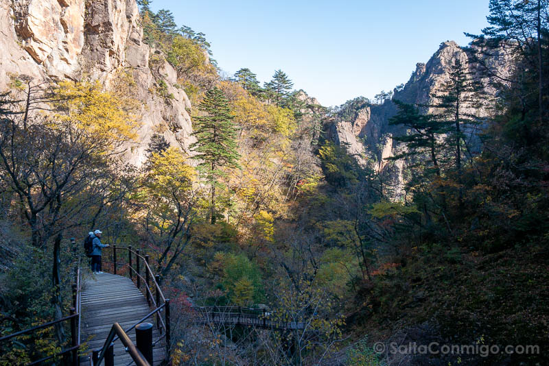 Que Ver en Seoraksan Corea Ruta Heullimgol Arriba