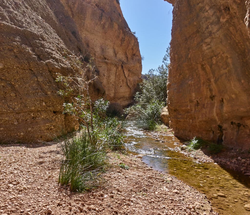 Ruta por el rio Chícamo, en Murcia. Por 
Ranko Veuger
