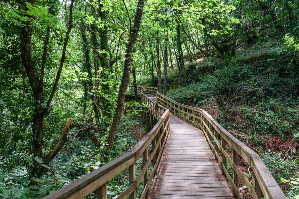 Ruta de las pasarelas del río Mao en Ourense, ideal para el verano. Por David Martínez