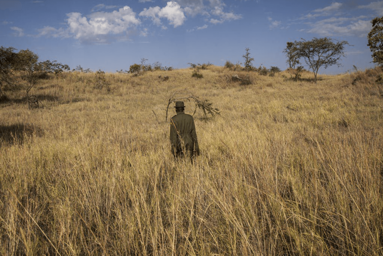 Restauración ambiental en Kenia
